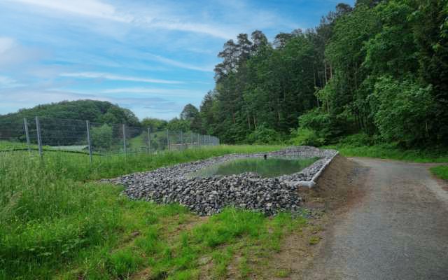 Teich mit Steinumrandung im Vordergrund, seitlich Bäume vor blauem Himmel mit Wolken