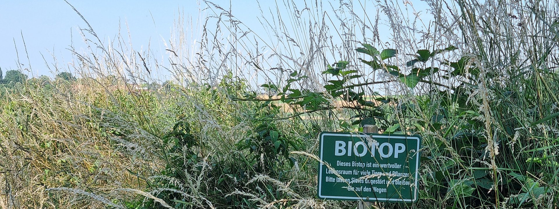 Büsche und Gräser mit Schild Biotop