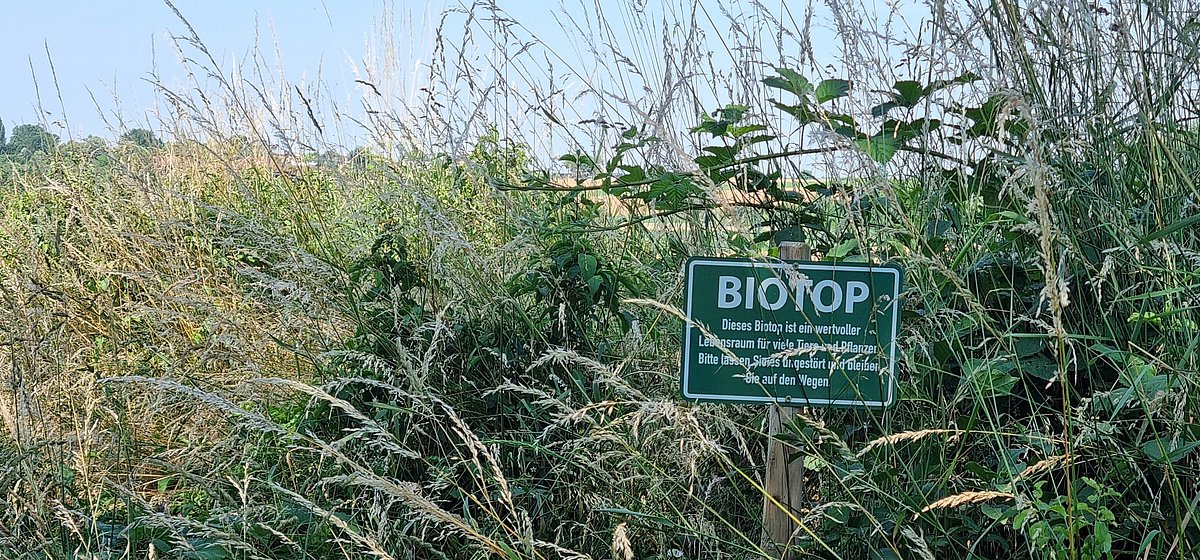Büsche und Gräser mit Schild Biotop
