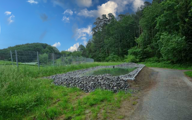 Teich mit Steinumrandung im Vordergrund, seitlich Bäume vor blauem Himmel mit Wolken